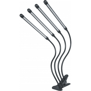 NDF-FITO &mdash; Фото 1